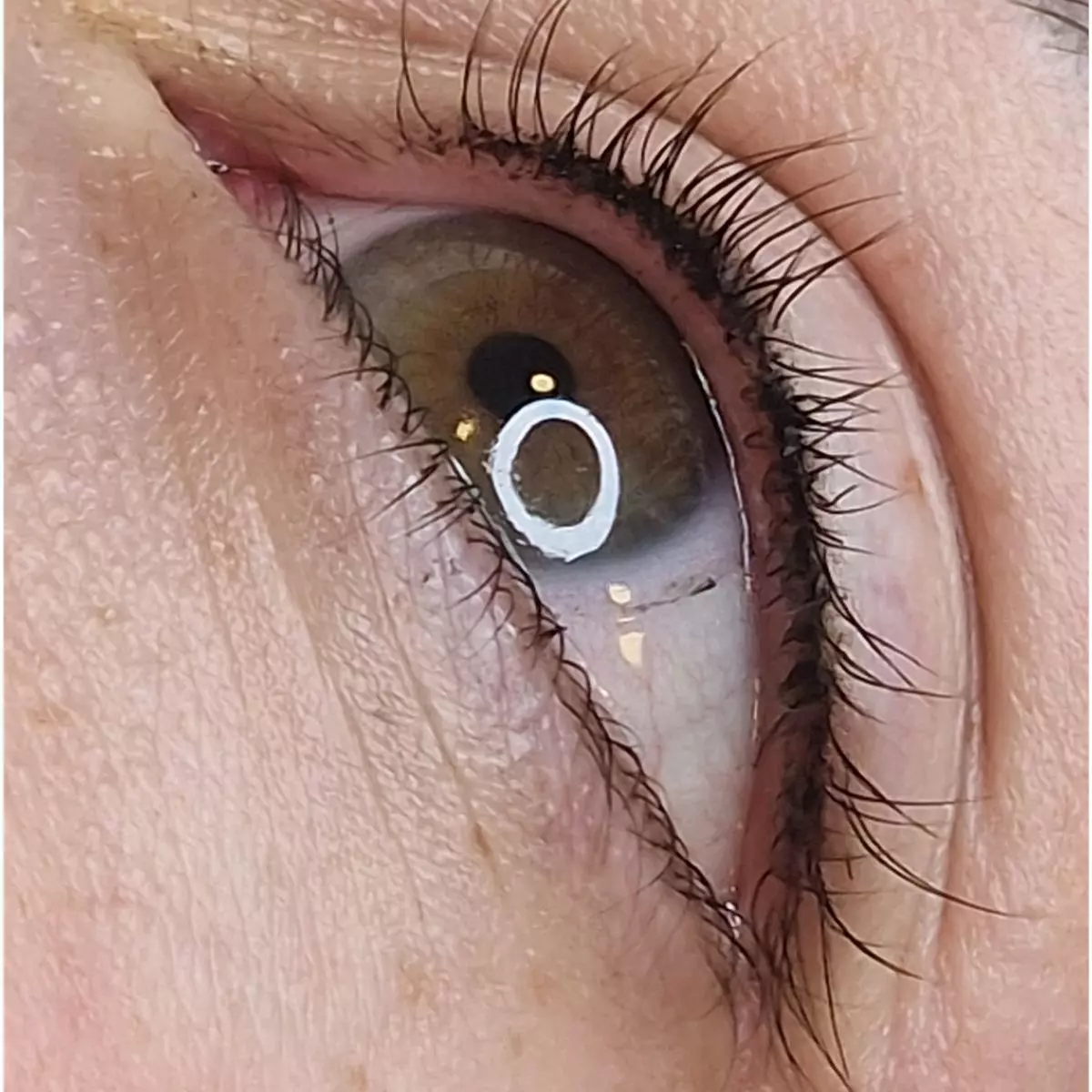 Ombre Brows - makijaż permanentny brwi w Grójcu